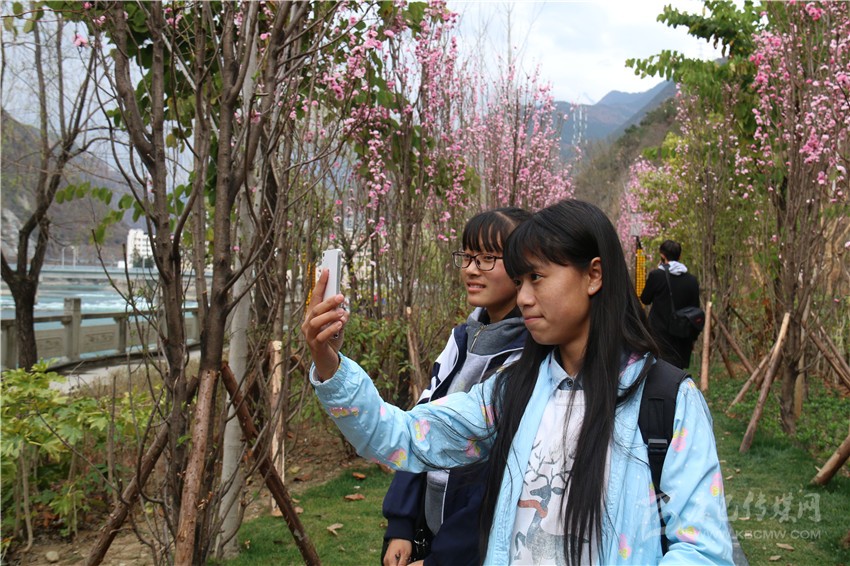 春光俏！“醉”是瀘定春三月，踏青賞花正當(dāng)時(shí)