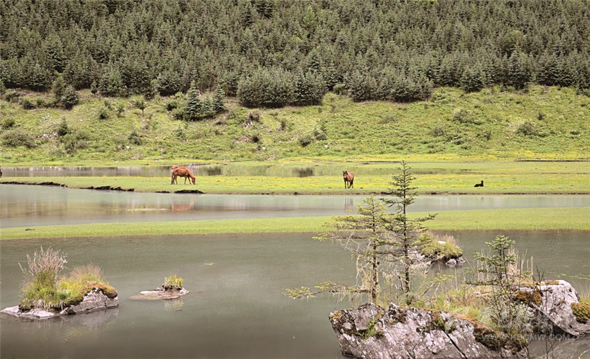 去甘孜 邂逅絕美湖泊海子！