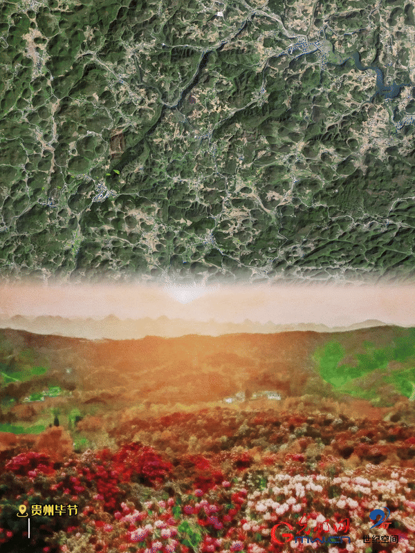 清明游玩賞花圖鑒來了！衛(wèi)星鏡頭帶你先睹為快