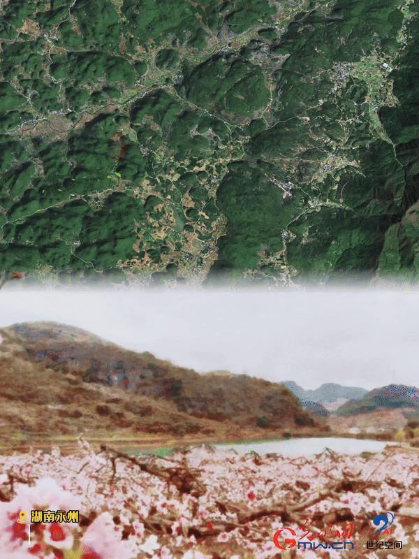 清明游玩賞花圖鑒來了！衛(wèi)星鏡頭帶你先睹為快